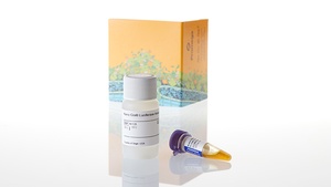 Nano-Glo® Luciferase Assay System