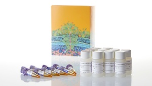 Nano-Glo® Luciferase Assay System