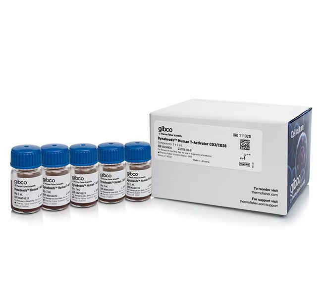 Gibco™ Dynabeads™ Human T-Activator CD3/CD28 for T Cell Expansion and Activation