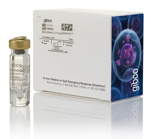 Gibco™ Human IL-2 Recombinant Protein