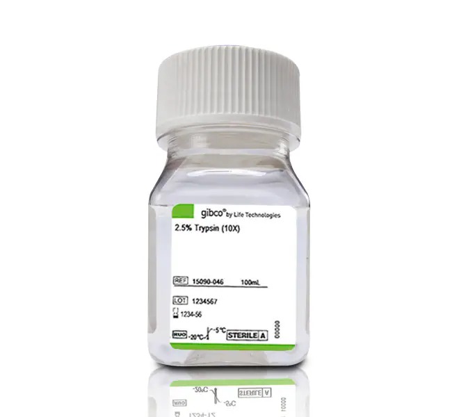 Gibco™ Trypsin (2.5%), no phenol red, 100mL