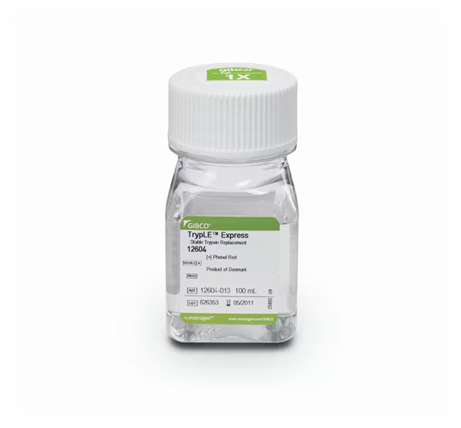 Gibco™ TrypLE™ Express Enzyme (1X), no phenol red