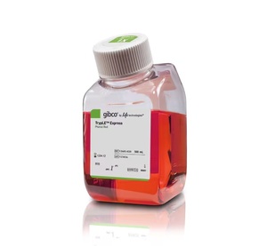 Gibco™ TrypLE™ Express Enzyme (1X), phenol red