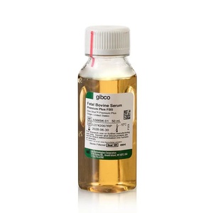 Gibco™ Fetal Bovine Serum, Premium Plus