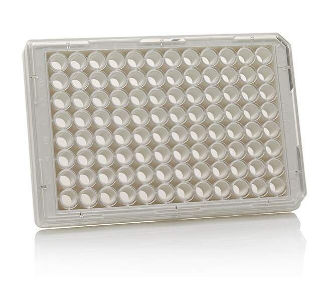 Thermo Scientific™ 96 Well White/Clear Bottom Plate, TC Surface