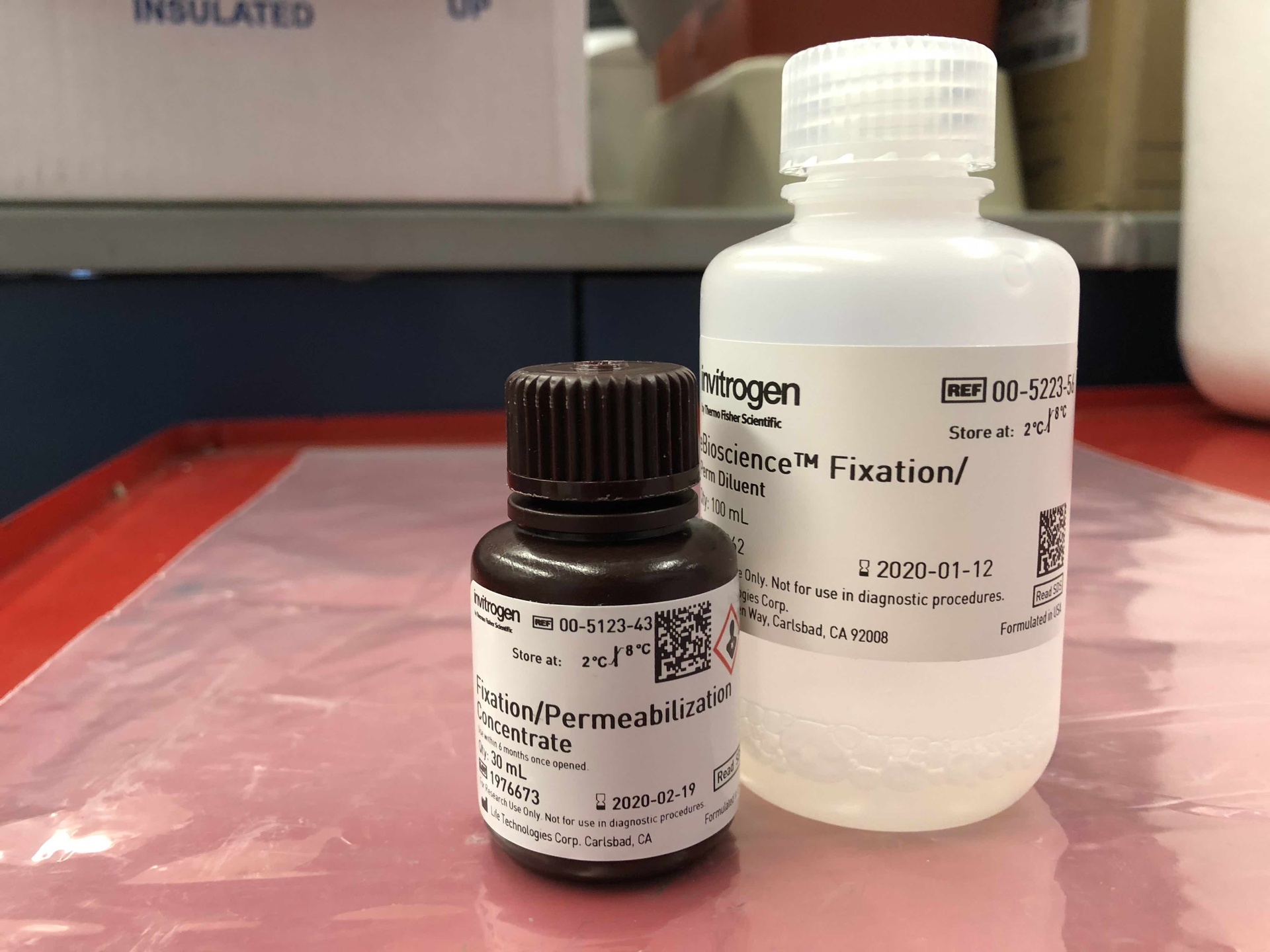 Invitrogen™ eBioscience™ IC Fixation Buffer, 125mL