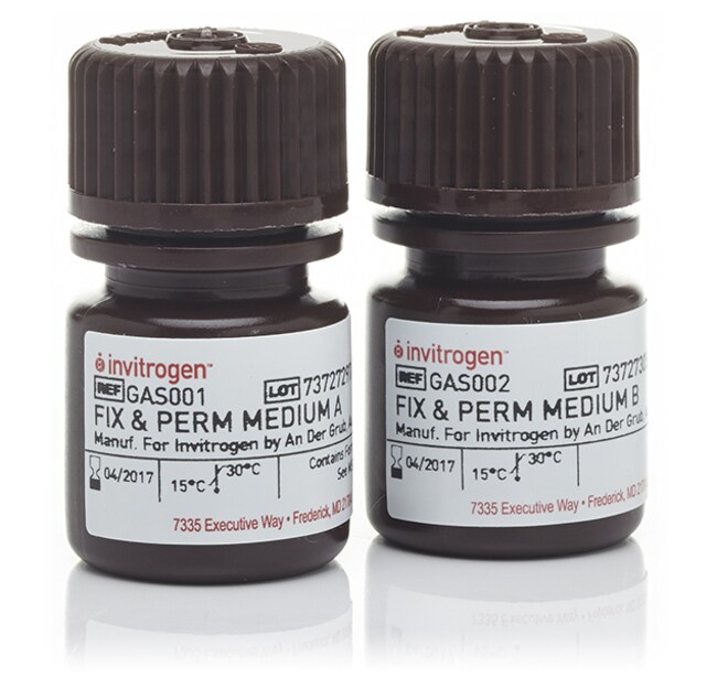 Invitrogen™ FIX & PERM™ Cell Permeabilization Kit