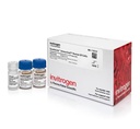 Invitrogen™ Dynabeads™ Untouched™ Human B Cells Kit, 10mL