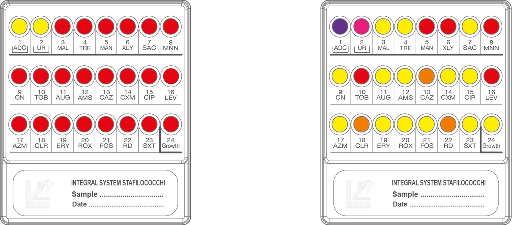 Liofilchem® Integral System Stafilococchi