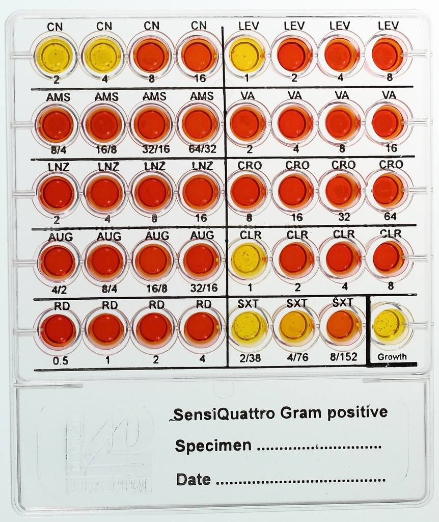 Liofilchem® SensiQuattro Gram-positive, 20 Tests