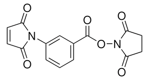 Apollo Sci. MBS (N-Succinimidyl 3-maleimidobenzoate)