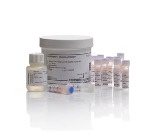 Invitrogen™ Quant-iT™ PicoGreen™ dsDNA Assay Kit, 50 pg to 2 μg