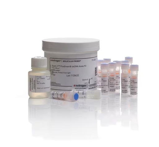 [P11496] Invitrogen™ Quant-iT™ PicoGreen™ dsDNA Assay Kit, 50 pg to 2 μg  (10 x 100 μL Tubes)