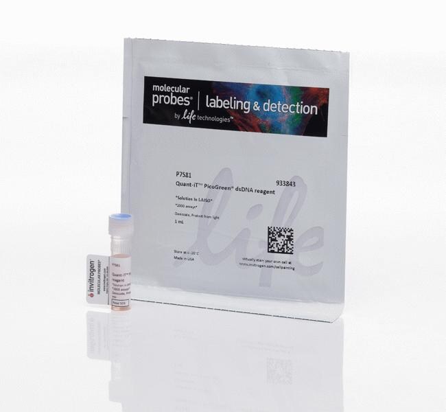 Invitrogen™ Quant-iT™ PicoGreen™ dsDNA Reagent, 50 pg to 2 μg