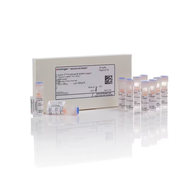 Invitrogen™ Quant-iT™ PicoGreen™ dsDNA Reagent, 50 pg to 2 μg 
