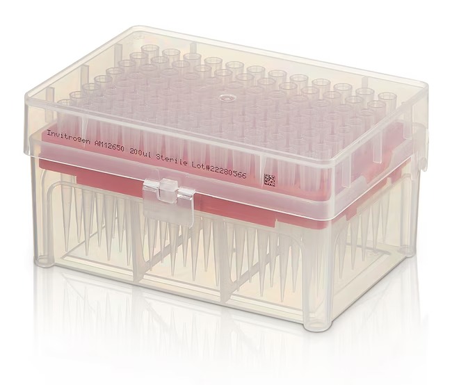Invitrogen™ RNase-free Tips, Non-filtered, 96/rack, 10 racks per case