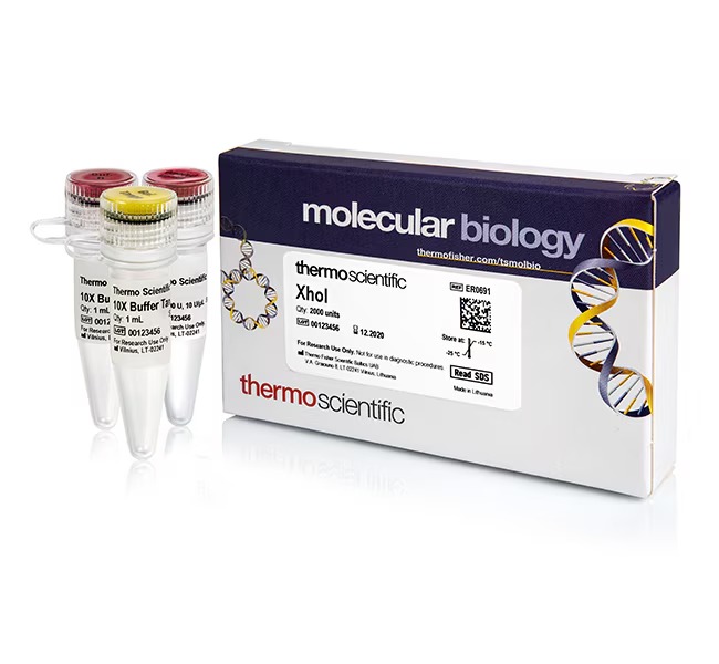 Thermo Scientific™ XhoI (10 U/μL) 
