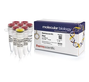 Thermo Scientific™ XhoI (10 U/μL)