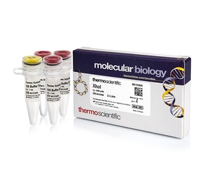 Thermo Scientific™ XhoI (10 U/μL) 