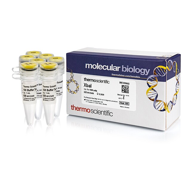 Thermo Scientific™ XbaI (10 U/μL)
