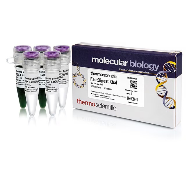 Thermo Scientific™ FastDigest™ XbaI
