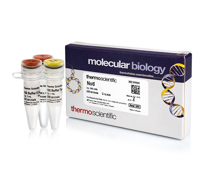 Thermo Scientific™ NotI (10 U/μL) 