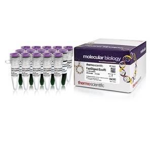 Thermo Scientific™ FastDigest™ EcoRI