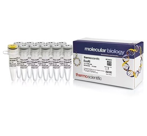 Thermo Scientific™ EcoRI (10 U/μL)