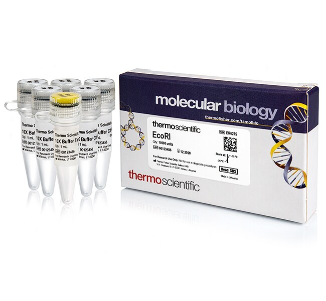 Thermo Scientific™ EcoRI (10 U/μL)