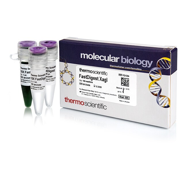 Thermo Scientific™ FastDigest™ XagI, 100 μL (100 Reactions)