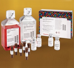 Thermo Scientific™ Pierce™ Primary Cardiomyocyte Isolation Kit