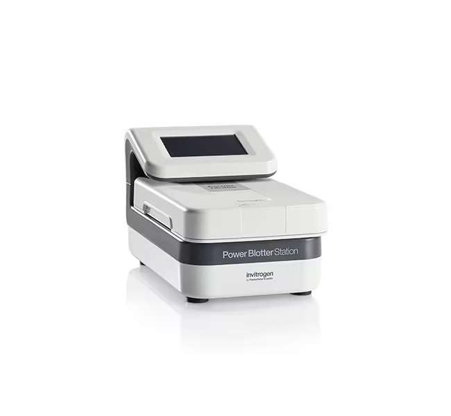 Invitrogen™ Power Blotter System 