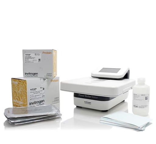 [PB0113] Invitrogen™ Power Blotter XL Welcome Pack 