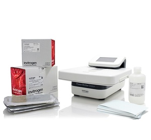 Invitrogen™ Power Blotter XL Welcome Pack, PVDF