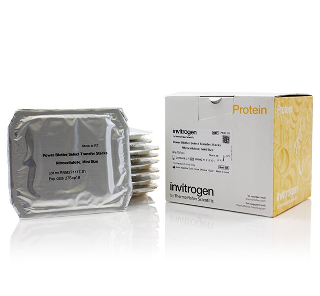 Invitrogen™ Power Blotter Select Transfer Stacks, nitrocellulose, regular size, 13 cm x 8.3 cm