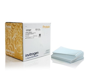 Invitrogen™ Power Blotter Pre-cut Membranes and Filters, nitrocellulose, 0.45 μm, mini, 7 x 8.4 cm, 20 Blots 