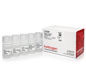 Thermo Scientific™ Invitrogen™ Platinum™ II Hot-Start PCR Master Mix (2X)