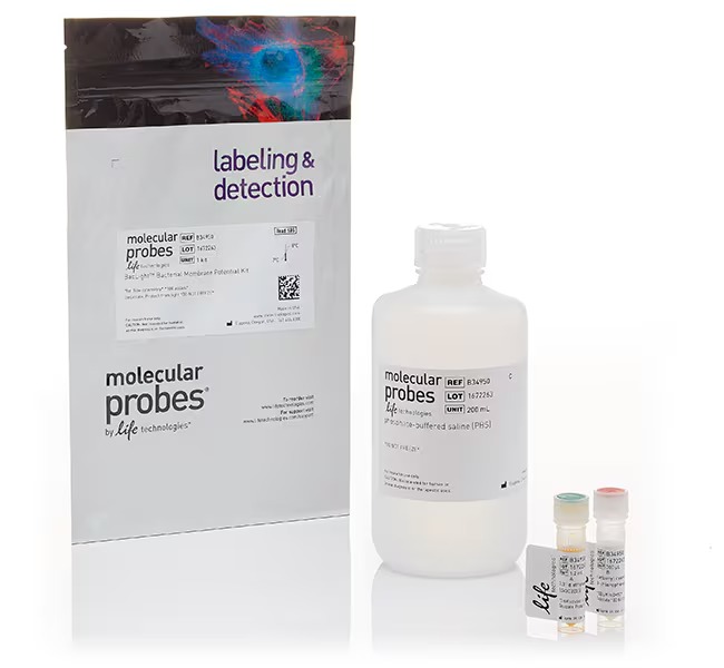 Invitrogen™ BacLight™ Bacterial Membrane Potential Kit