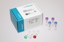 RealStar® Dengue RT-PCR Kit 3.0 (CE-IVD)