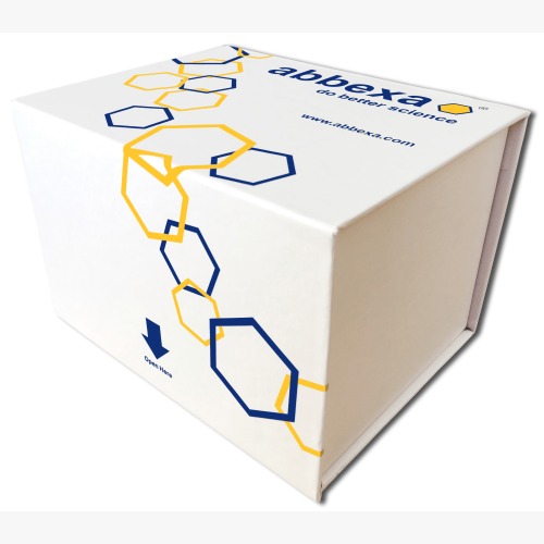 Abbexa Human Haptoglobin Related Protein (HPR) ELISA Kit, 96 Tests