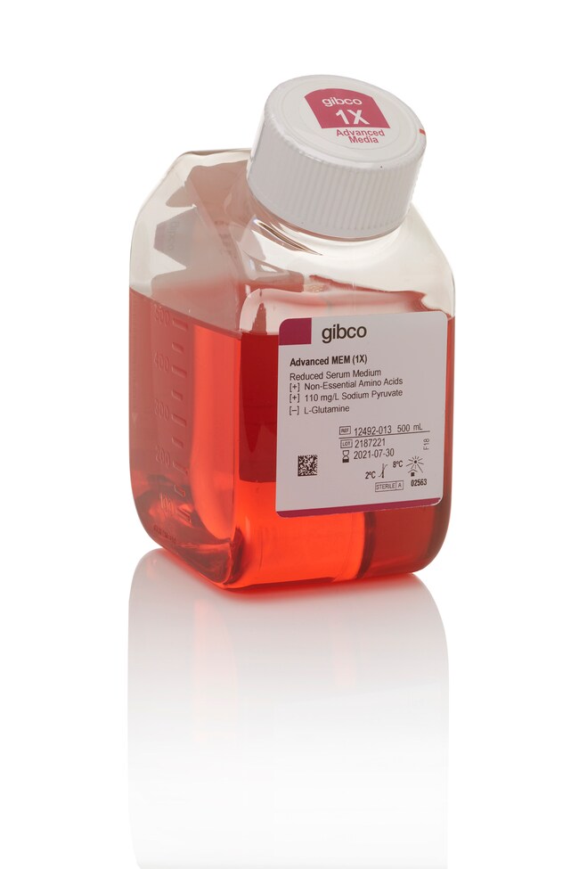 Gibco™ Advanced MEM