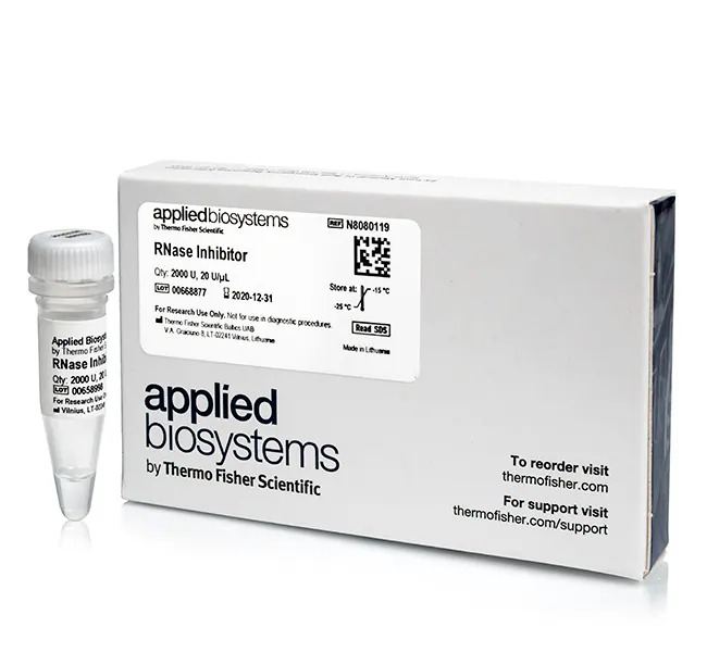 Applied Biosystems™ RNase Inhibitor, 2000 U, 20 U/μL, 100 Rxns