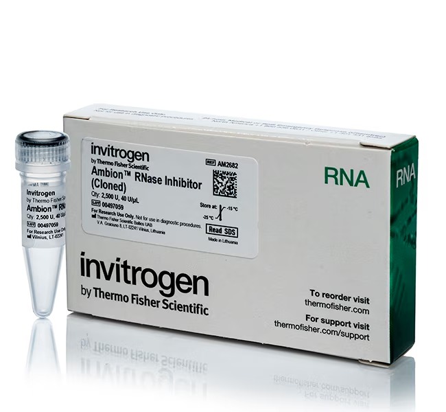 Invitrogen™ Ambion™ RNase Inhibitor, cloned, 40 U/μL
