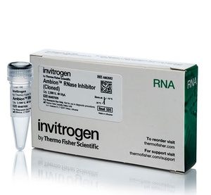 Invitrogen™ Ambion™ RNase Inhibitor, cloned, 40 U/μL