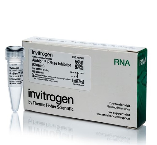 [AM2682] Invitrogen™ Ambion™ RNase Inhibitor, cloned, 40 U/μL (2500 U)