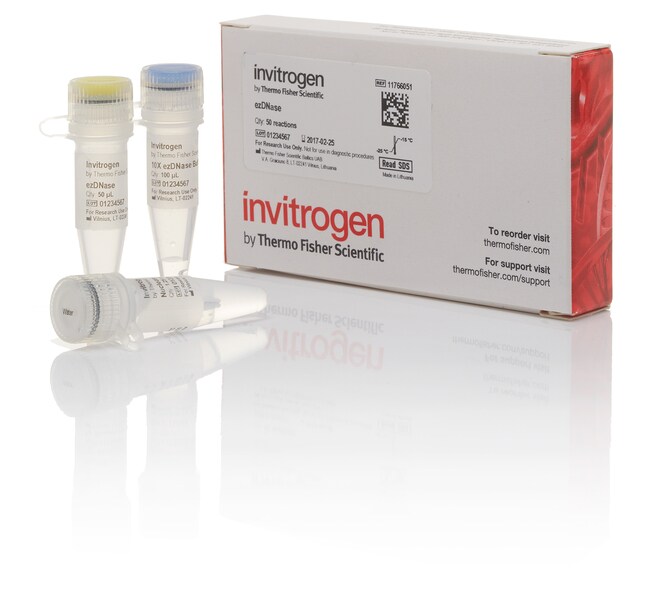 Invitrogen™ ezDNase™ Enzyme, 50 rxns