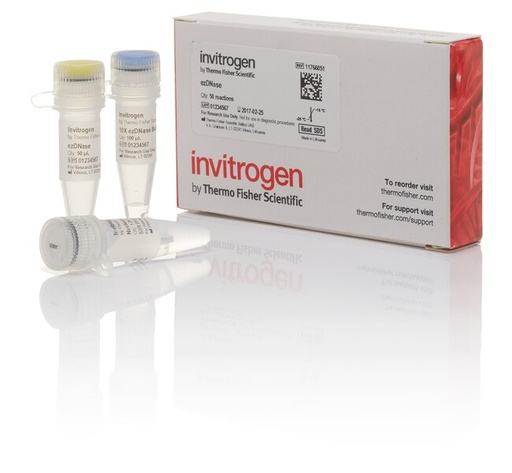 [11766051] Invitrogen™ ezDNase™ Enzyme, 50 rxns