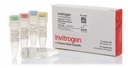 Invitrogen™ SuperScript™ IV VILO™ Master Mix