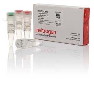 Invitrogen™ SuperScript™ IV VILO™ Master Mix