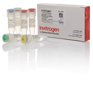 Invitrogen™ SuperScript™ IV VILO™ Master Mix